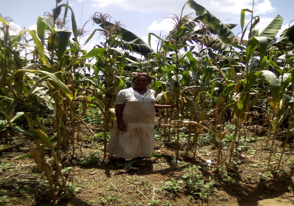 Agriculture