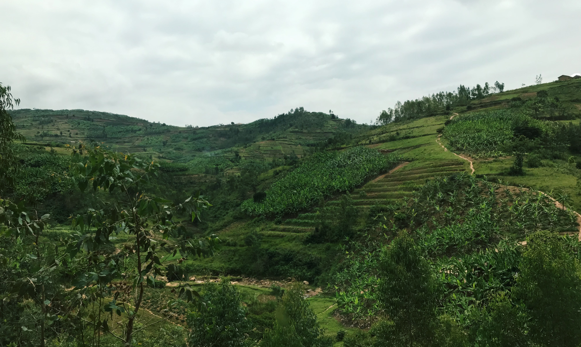 Mid-Term Evaluation of the Forest Landscape Restoration for Improved Livelihoods in Rwanda project.