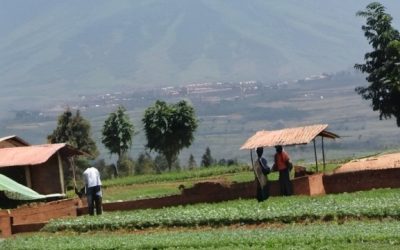 Baseline study on integrating Agro-ecological practices in agricultural Intensification program (CIP) in Rwanda.