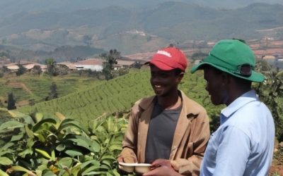 Strengthen and coach Arabica Coffee Value Chain Cooperatives in Rwanda.